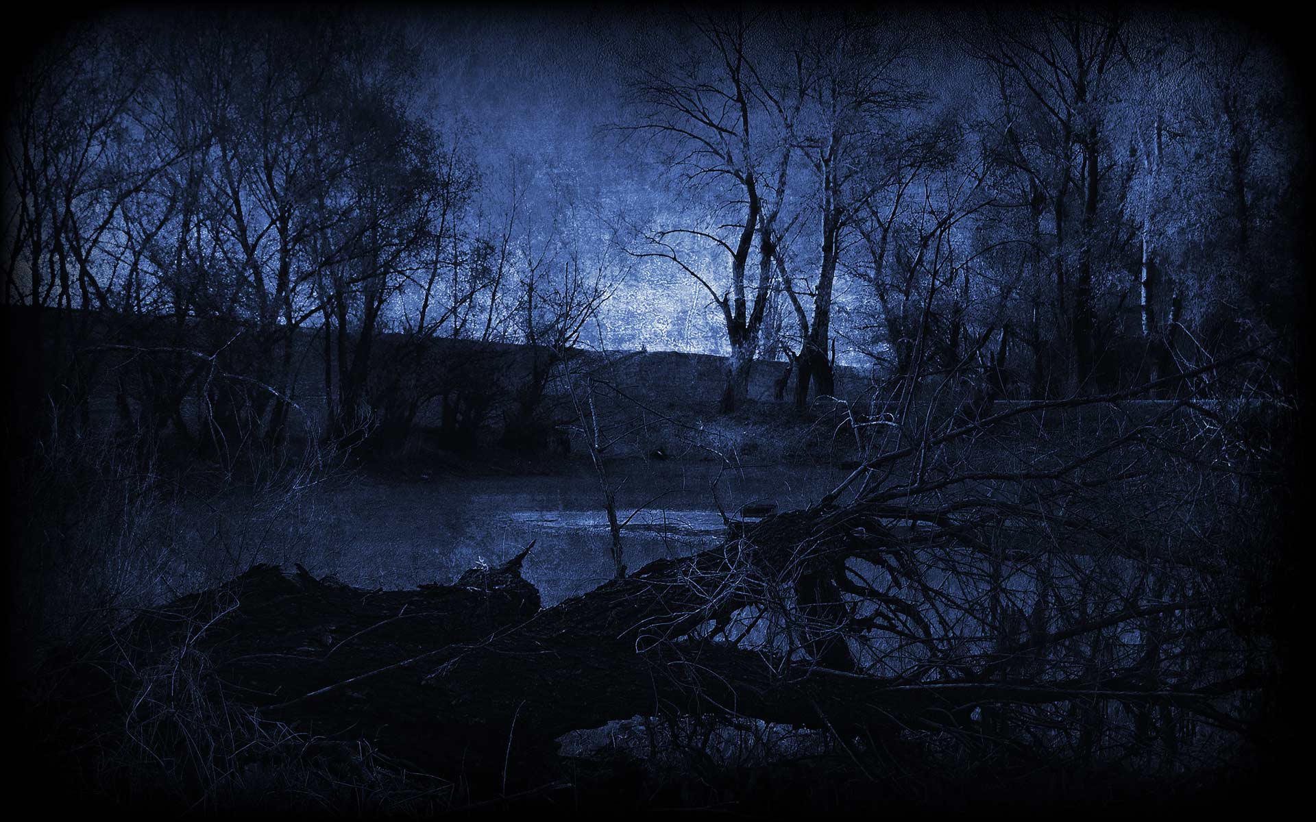 Twilight Forest
