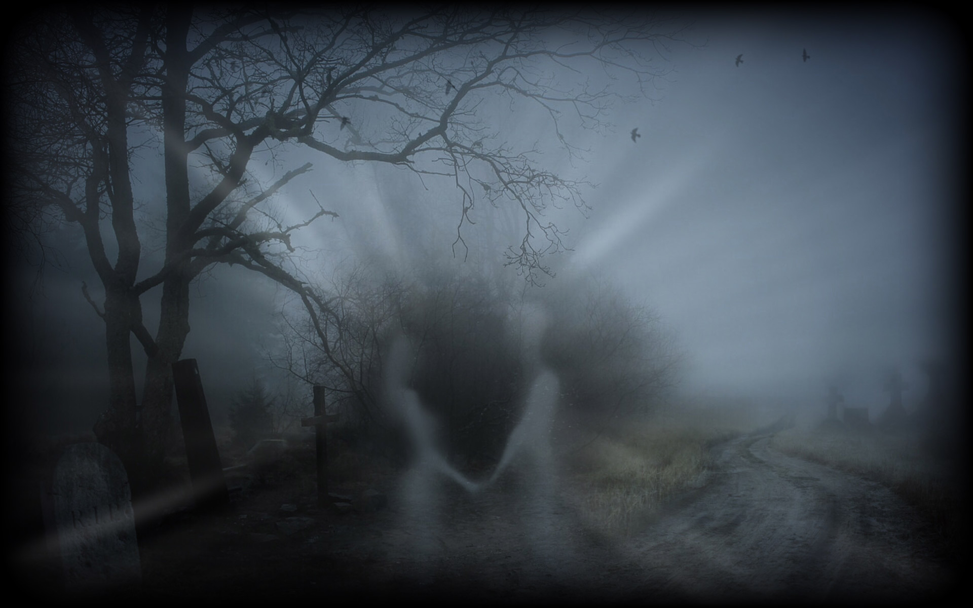 Ghost Forest