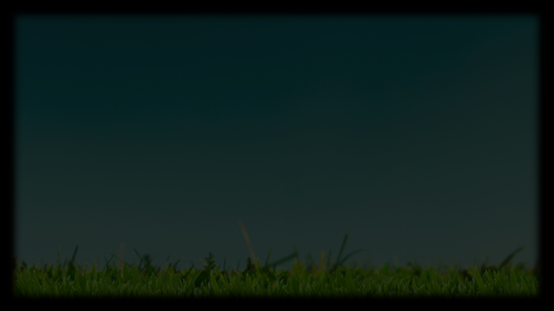 Spoko and Poko Grass