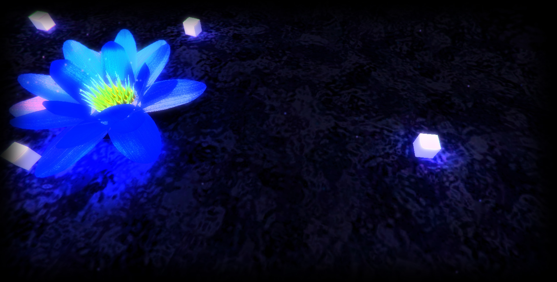 Open lotus