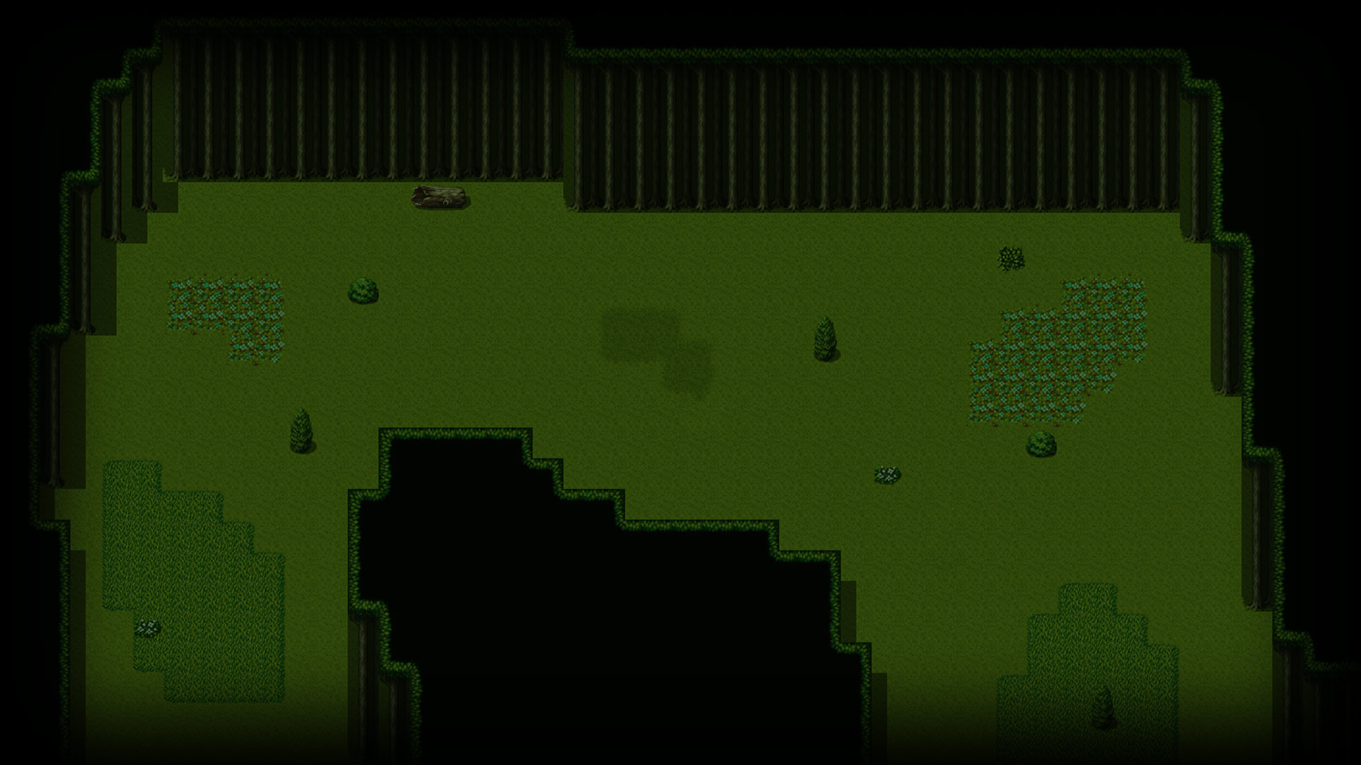Forest Background
