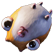 :chopchophamster: