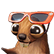 :chopchopborek: