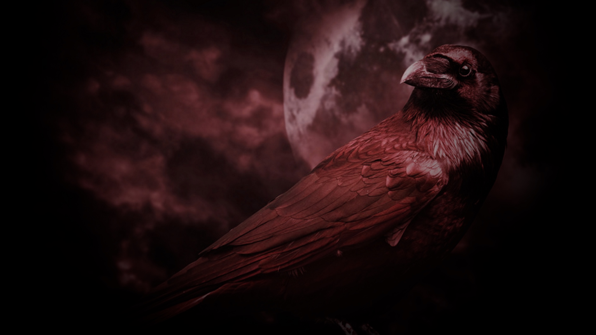 The Crow
