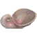 :CavemanNautilus: