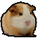 :guineapig: