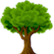:treeknowledge: