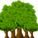 :foresttrees: