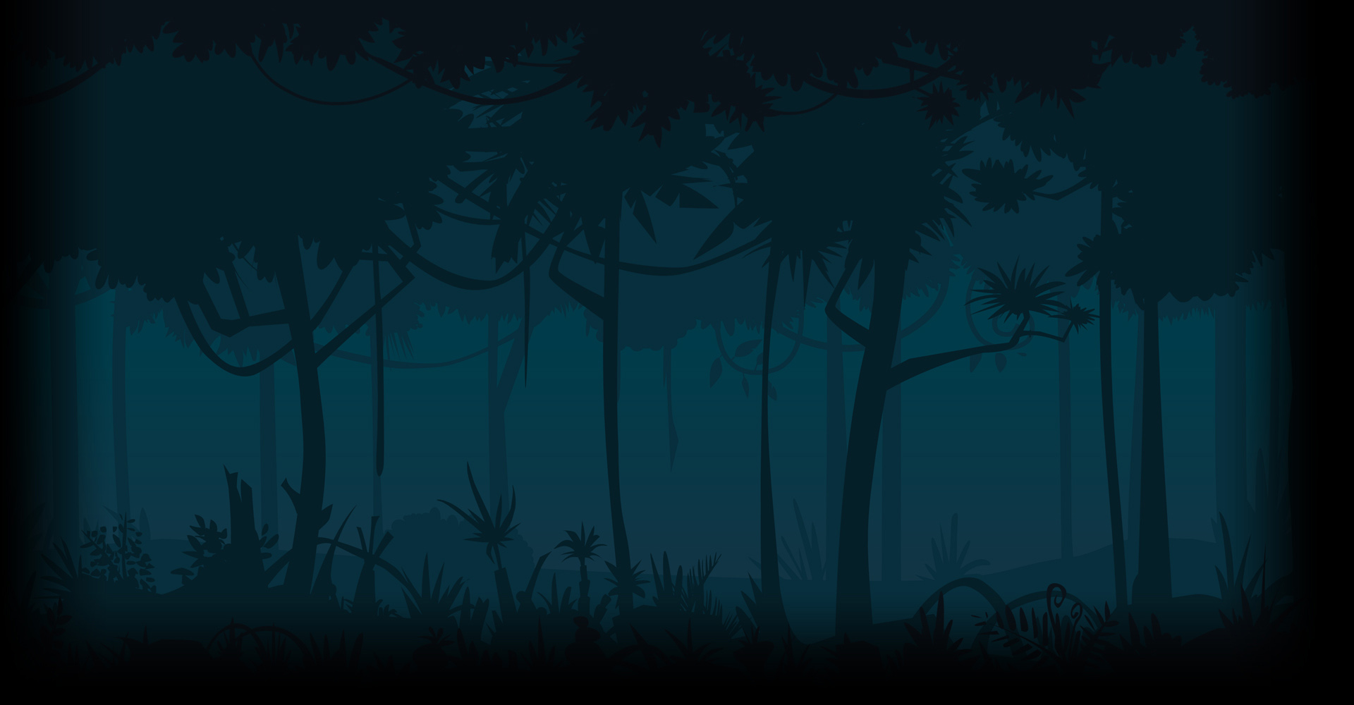 Forest Night