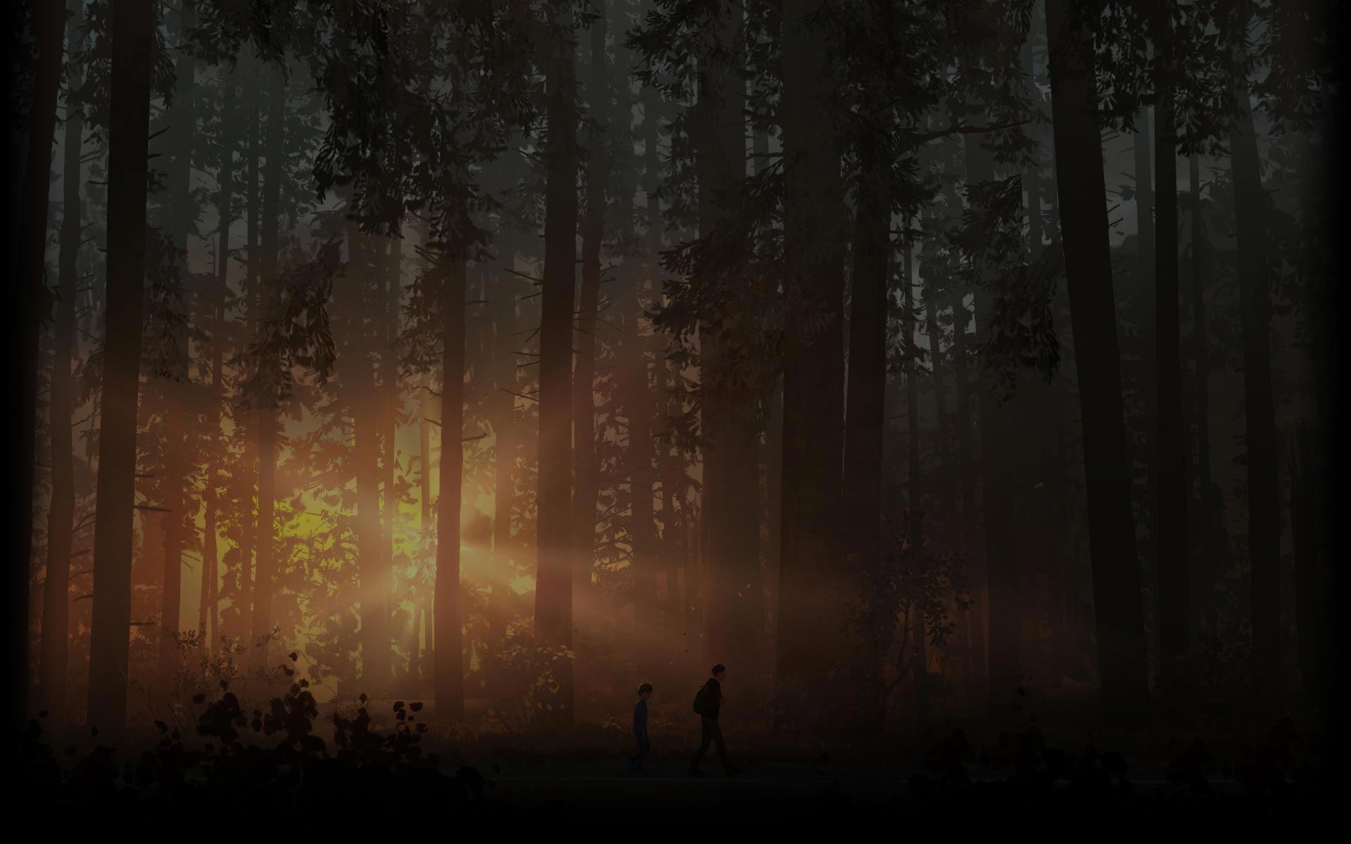 Into The Woods