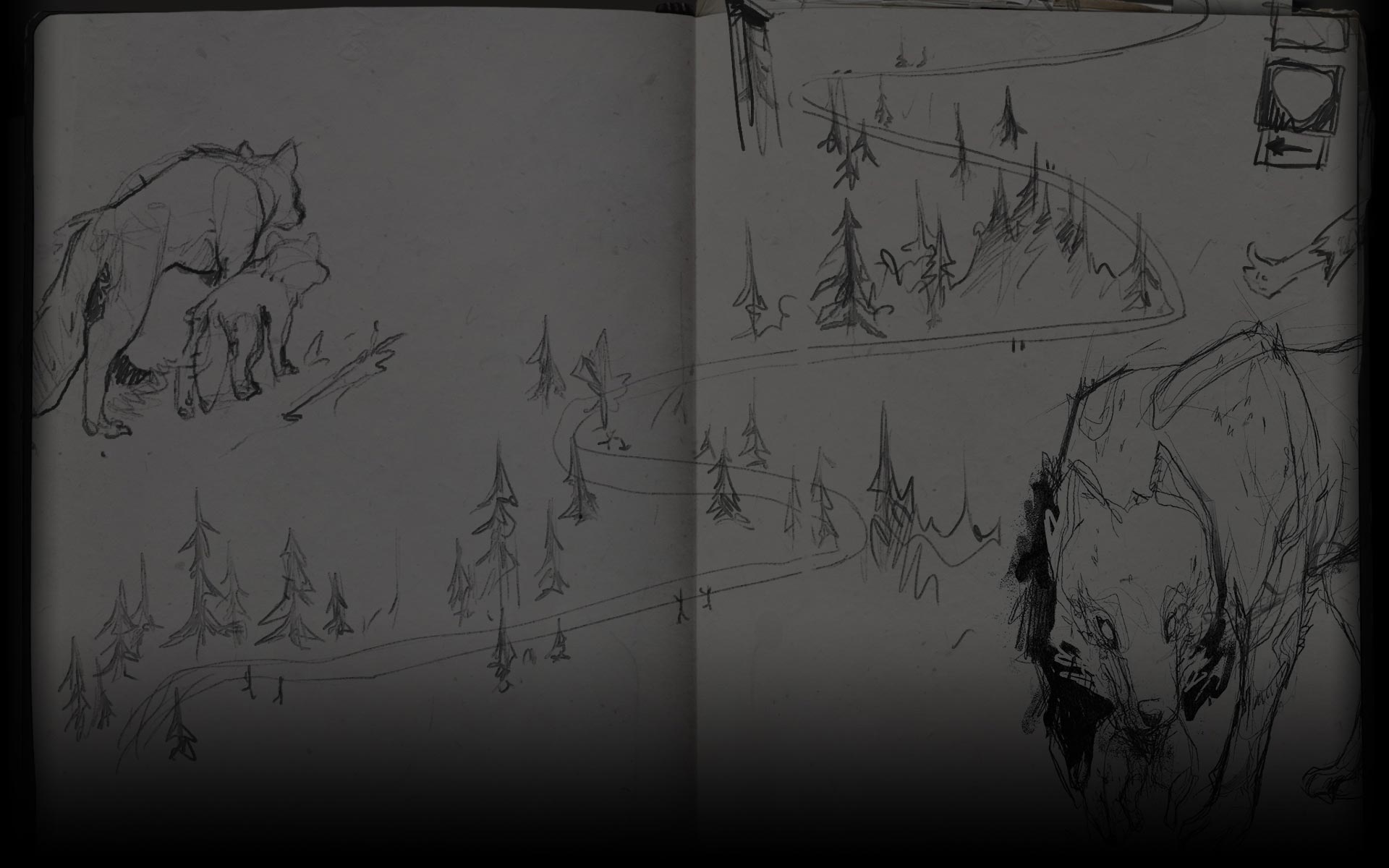 Sean’s Journal