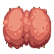 :worm_body: