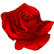 :Theroses: