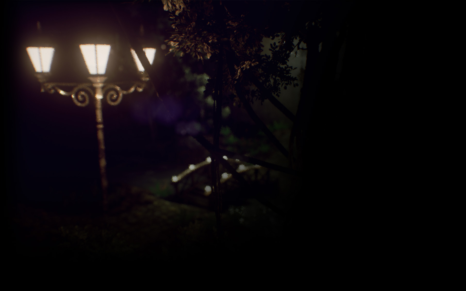 Summer Garden