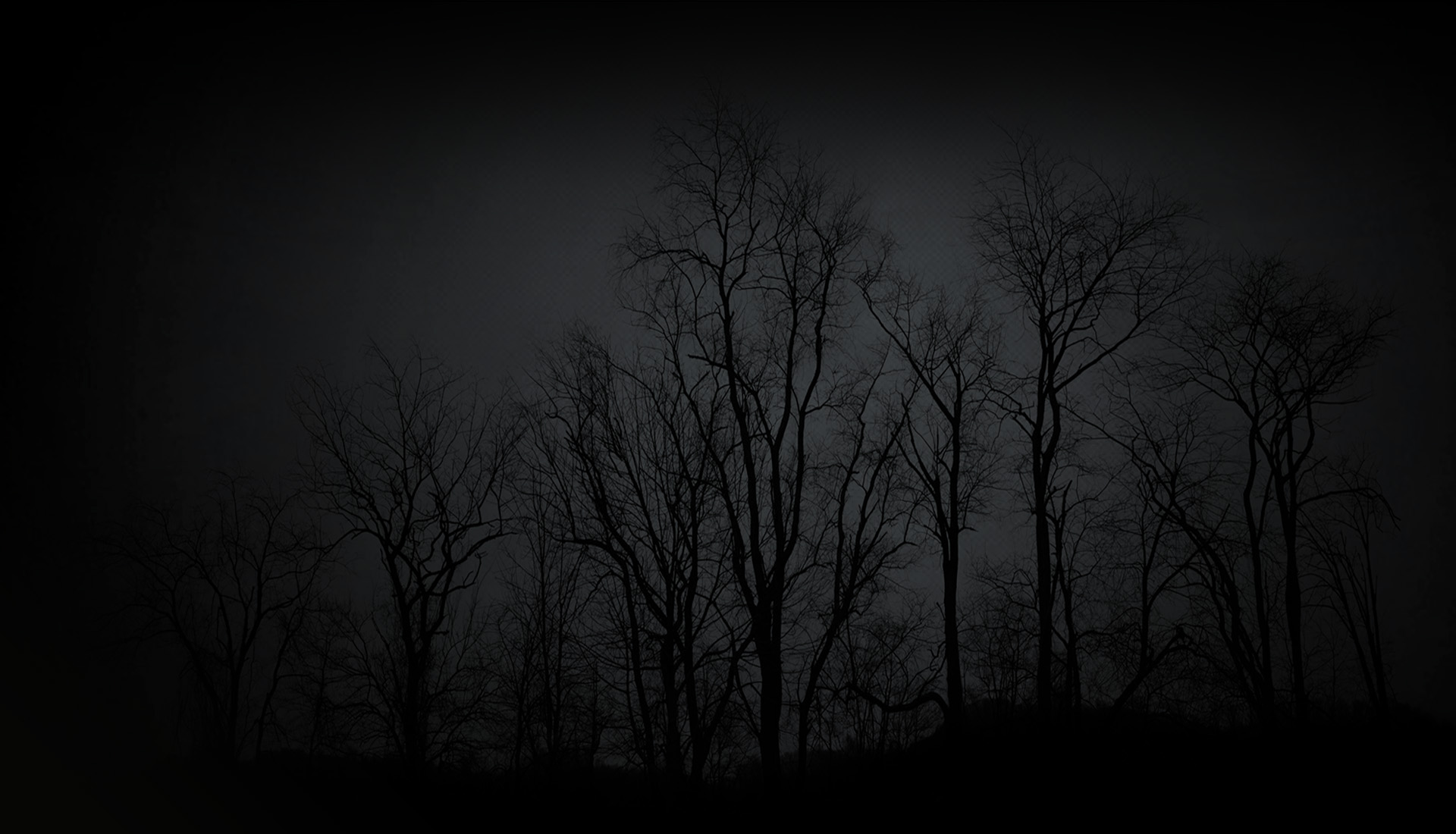 Forest root of evil