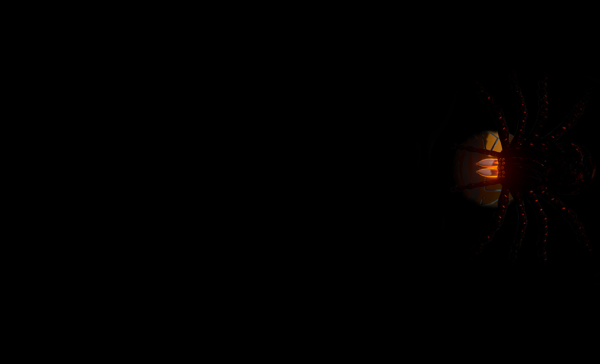 Spider