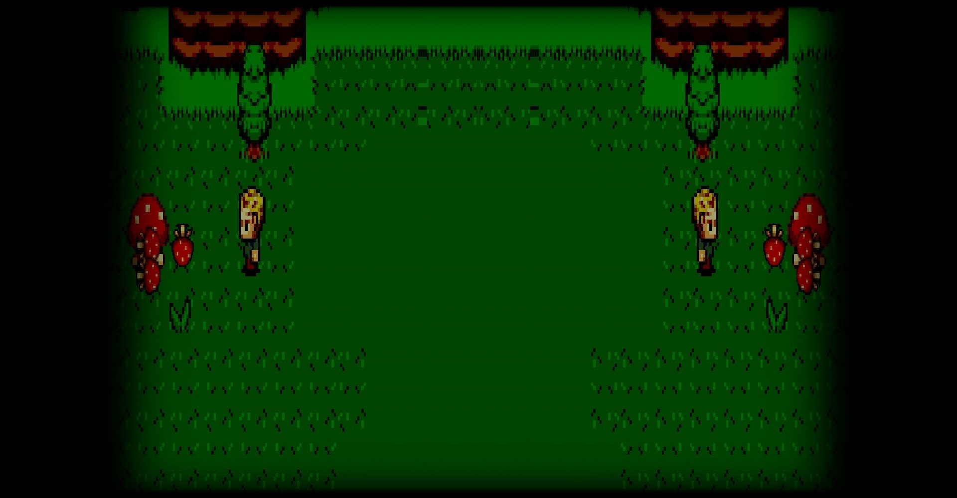 Mushrooms are Everywhere!