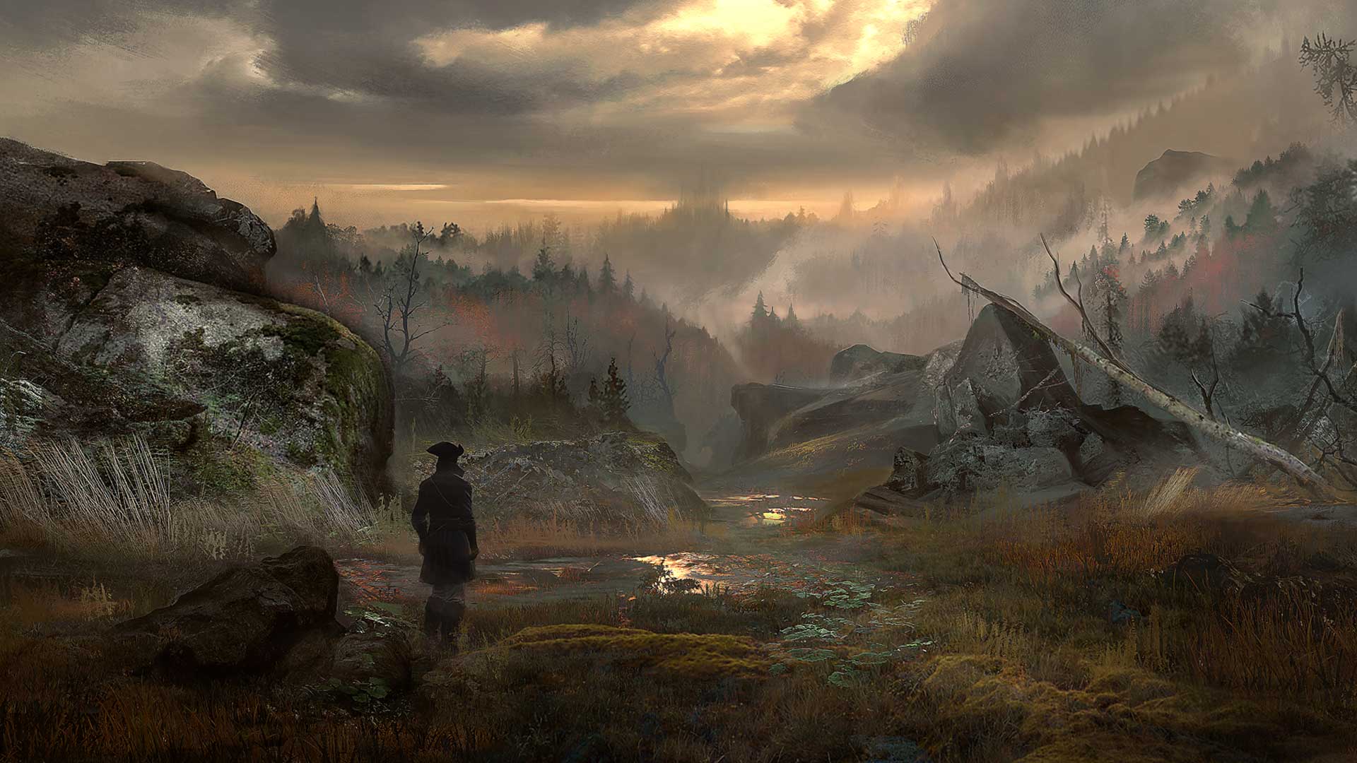The Marshes