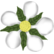 :flower_timen: