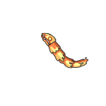 Infinity Worm