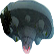 :NLO: