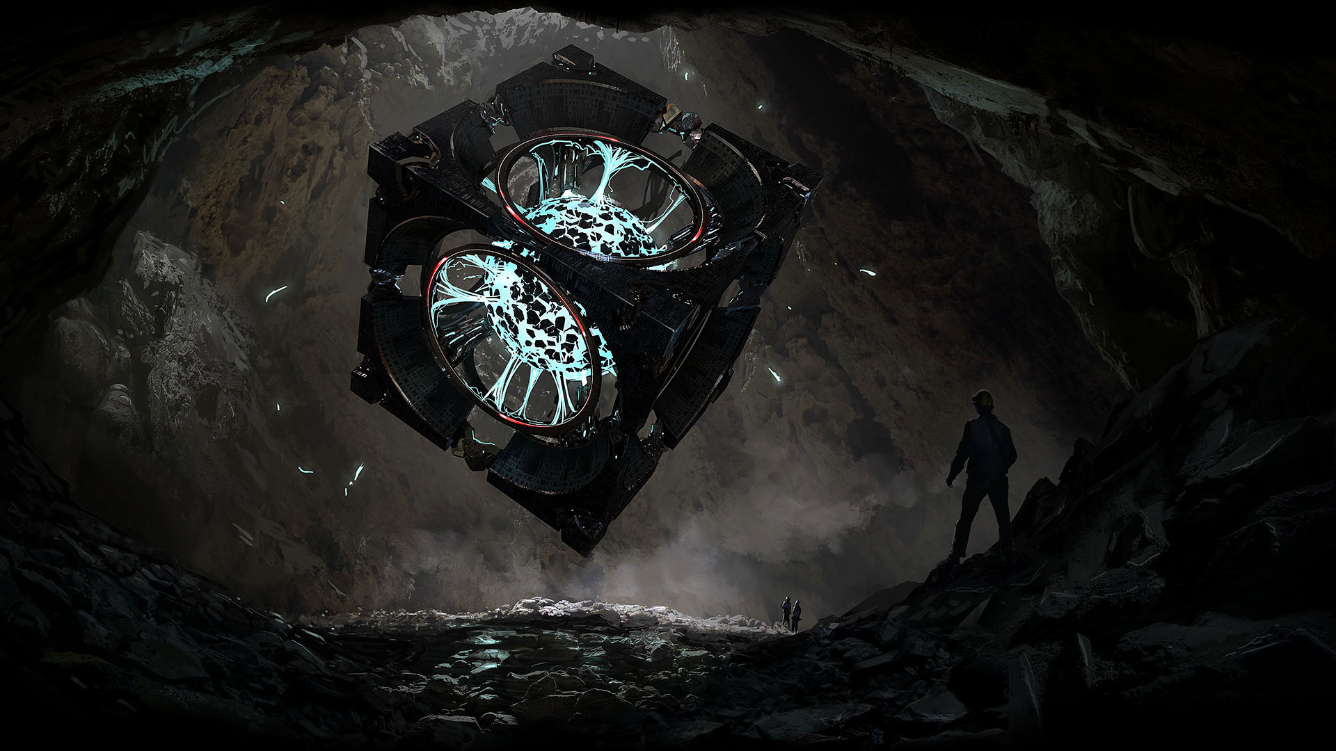 Seed