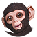 :tso6_smart: