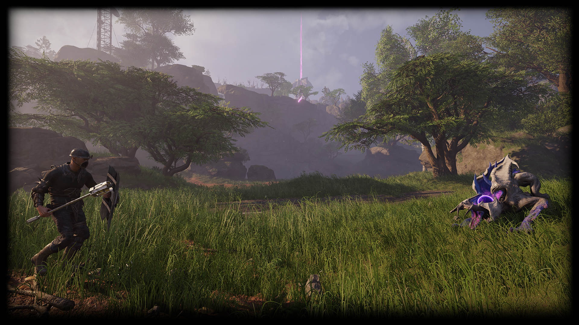 Forest