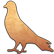 :ctts_pidgeon: