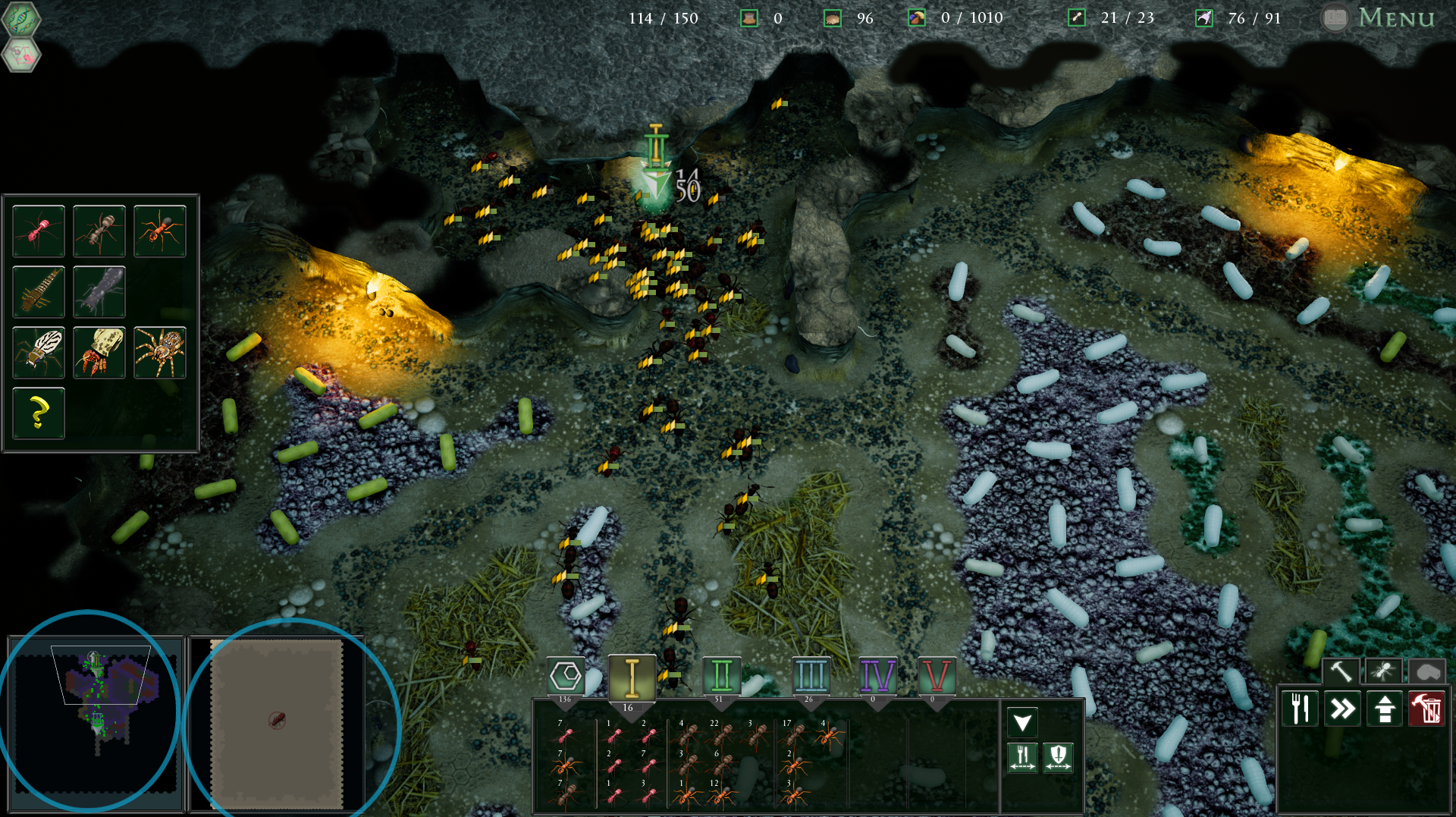empires_of_the_undergrowth.png