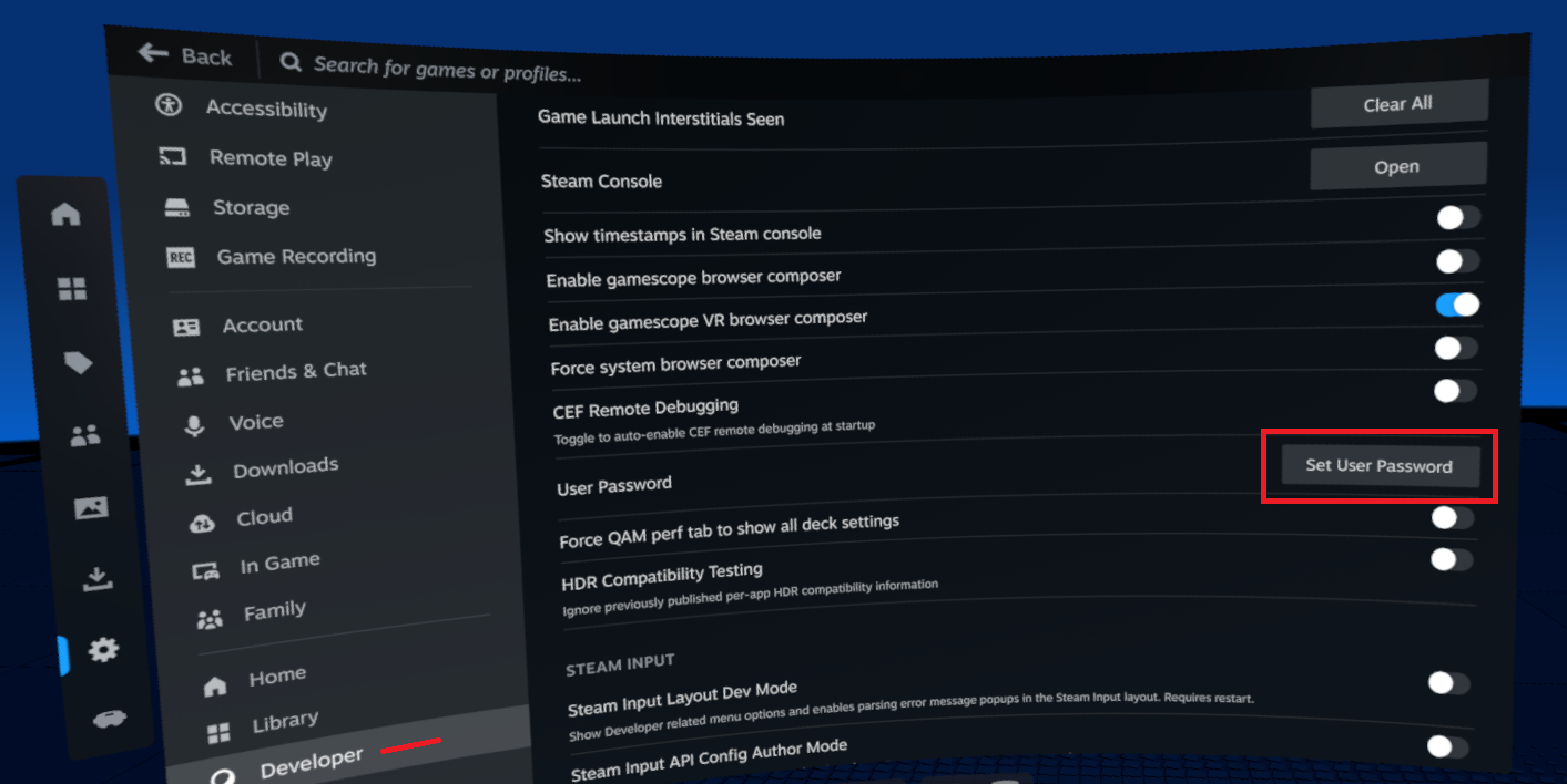 steamframe-setpassword.png