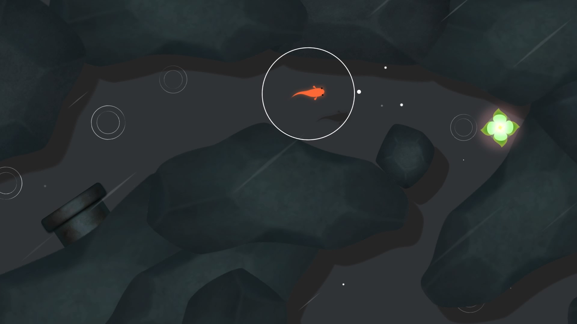 Koi screenshot 3