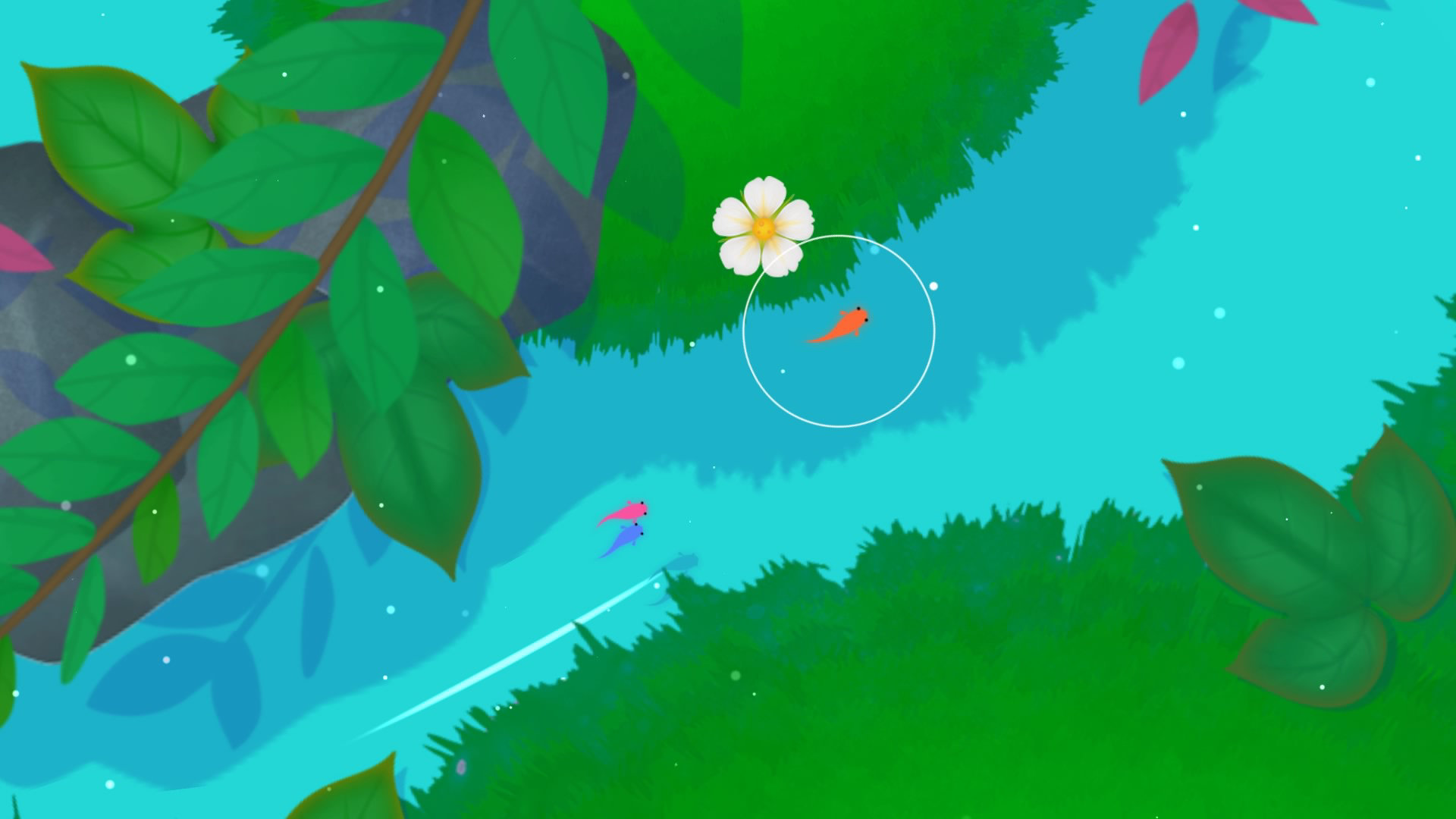 Koi screenshot 4