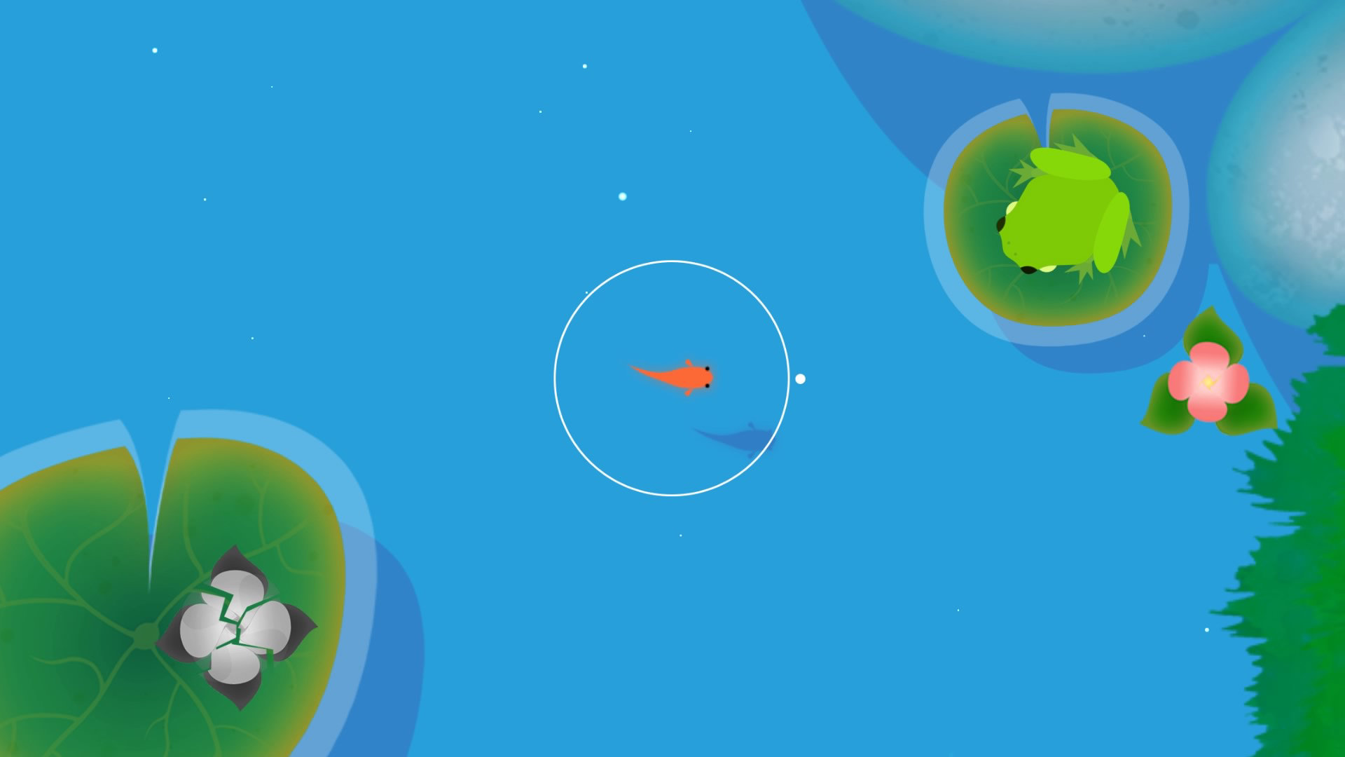 Koi screenshot 6