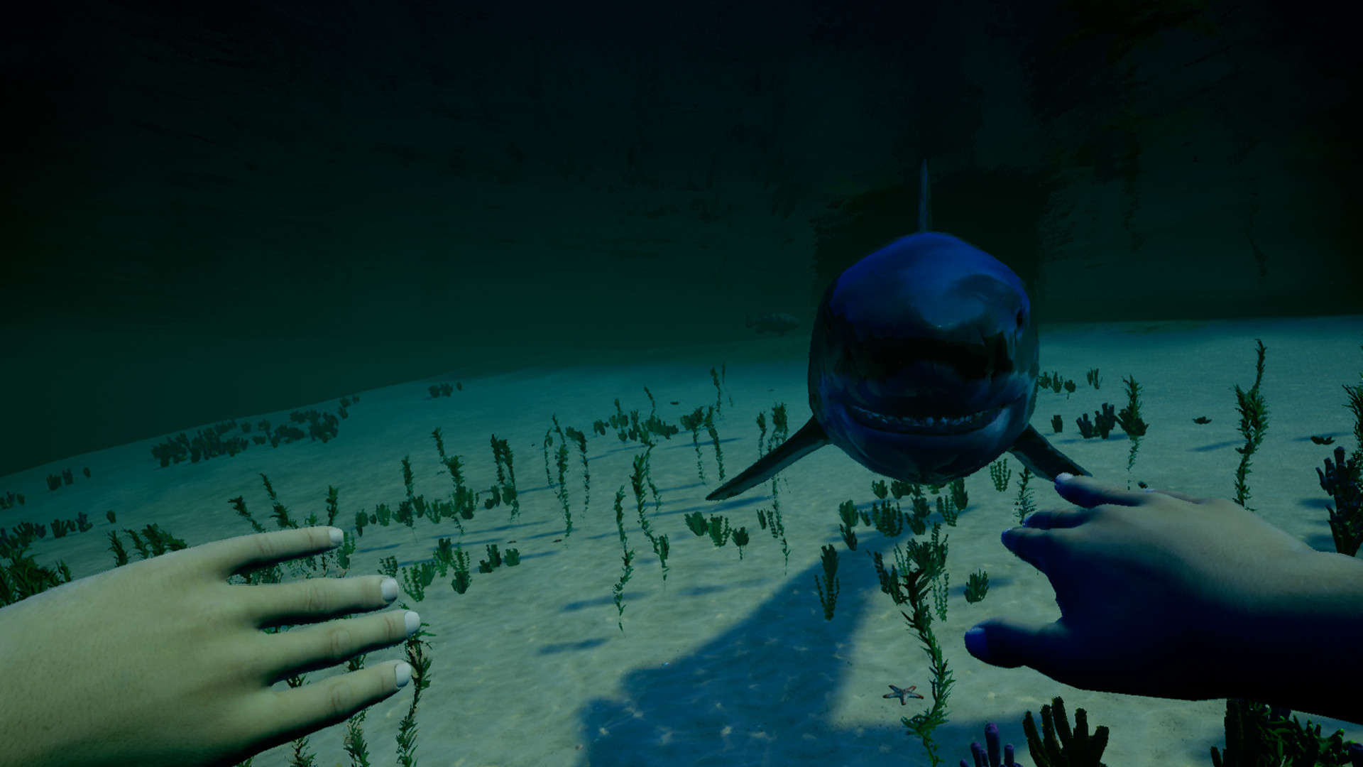 My Island screenshot 64