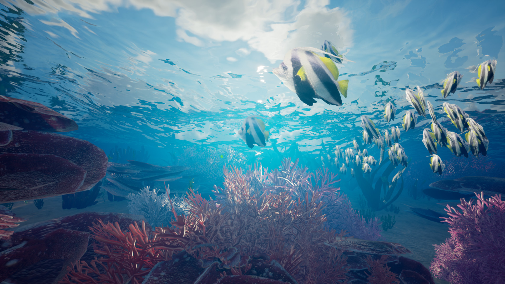 My Island screenshot 10