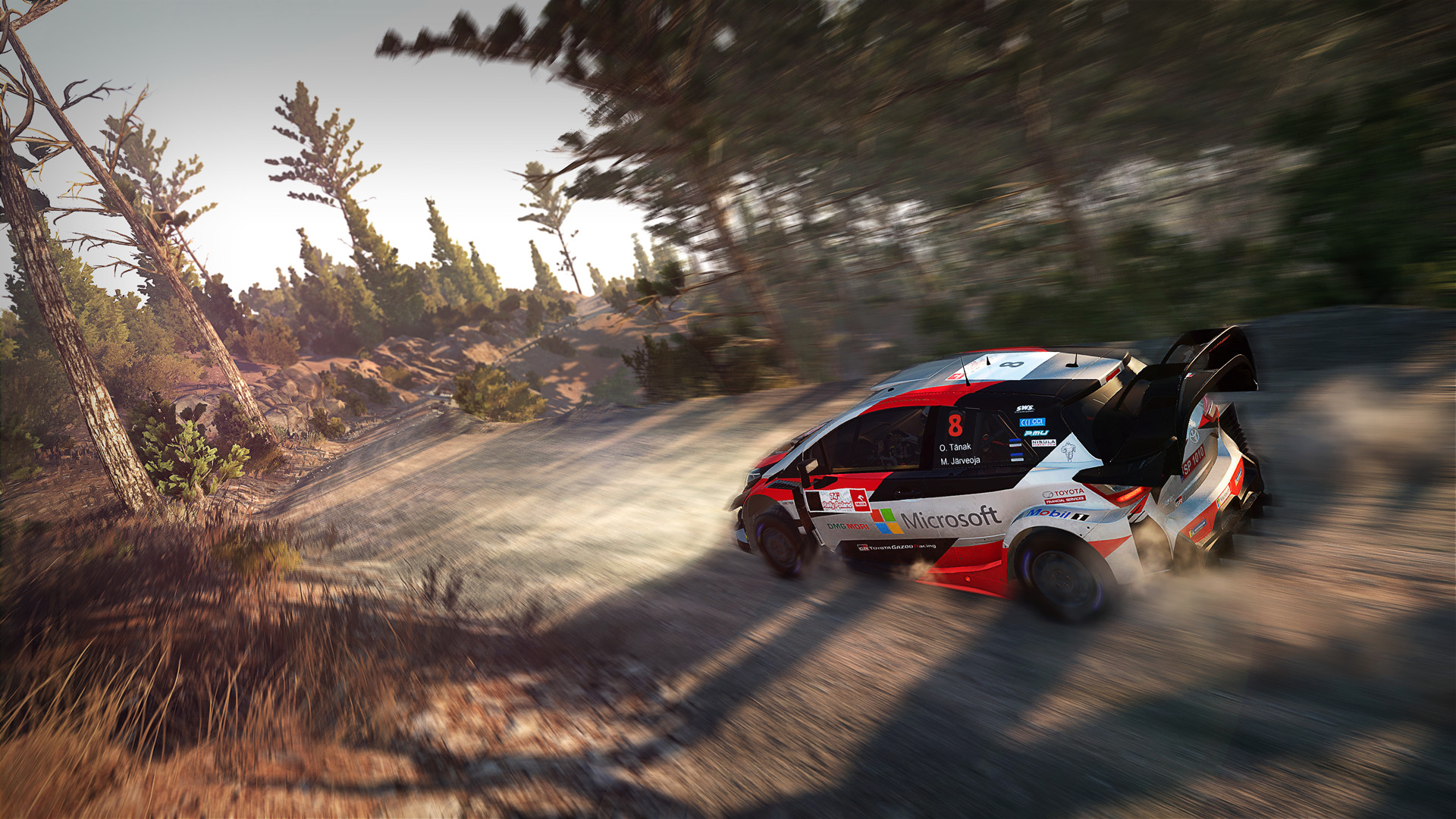 WRC 8 FIA World Rally Championship screenshot 3