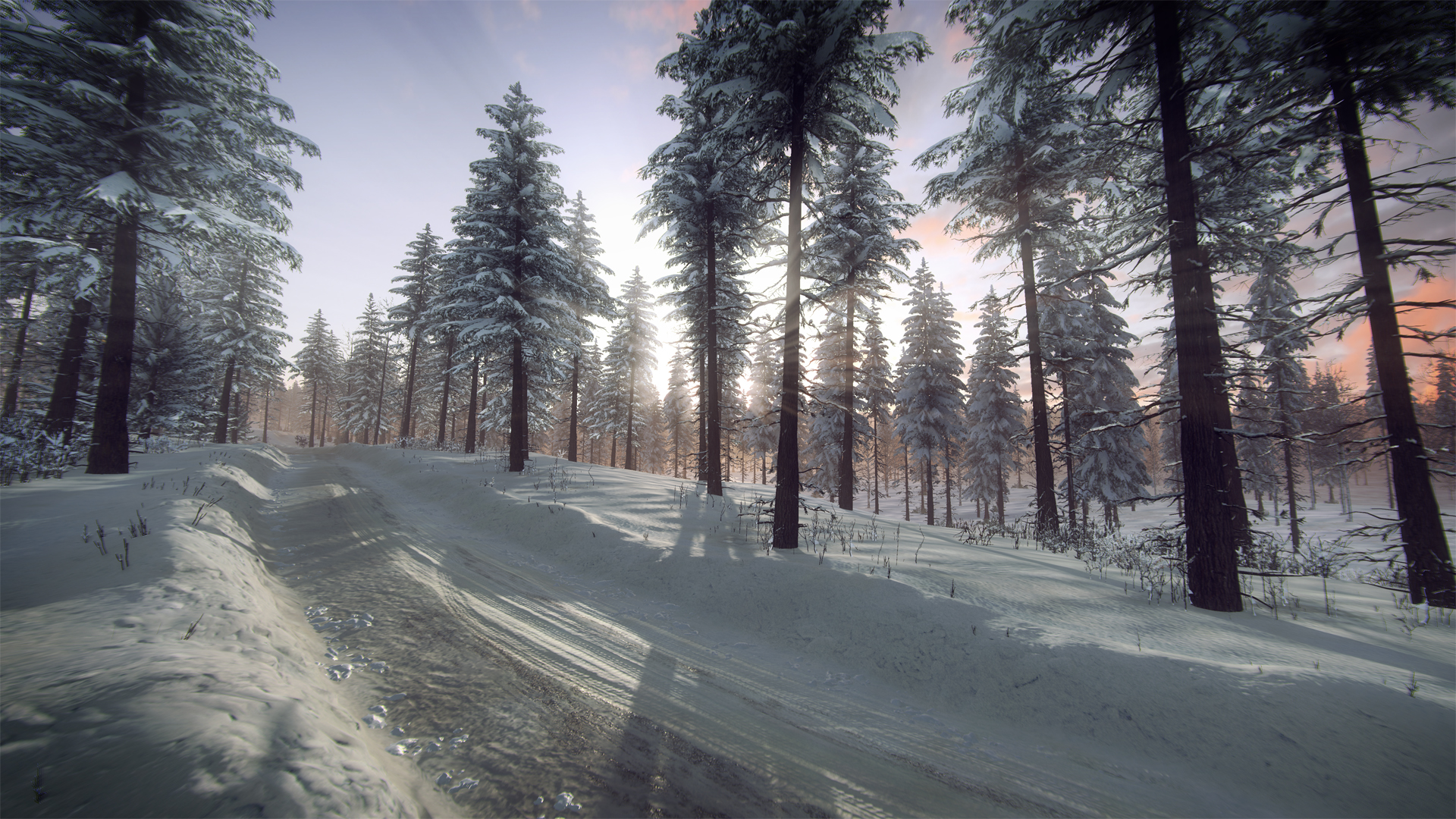 DiRT Rally 2.0 - Sweden (Rally Location) screenshot 5