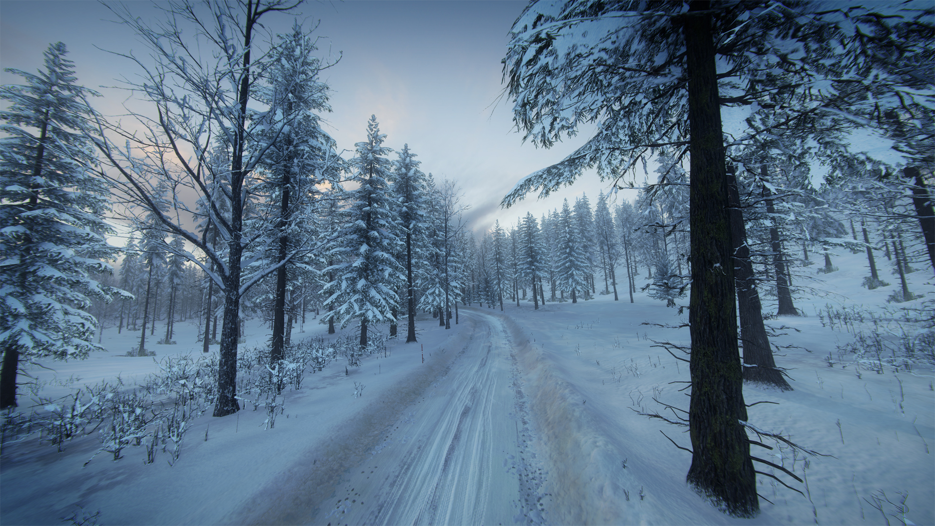 DiRT Rally 2.0 - Sweden (Rally Location) screenshot 7