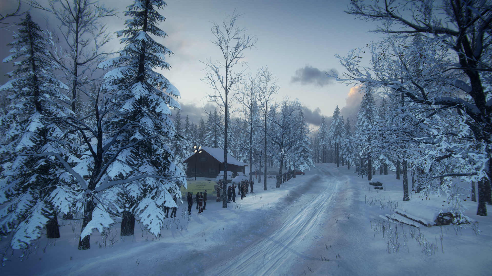 DiRT Rally 2.0 - Sweden (Rally Location) screenshot 9