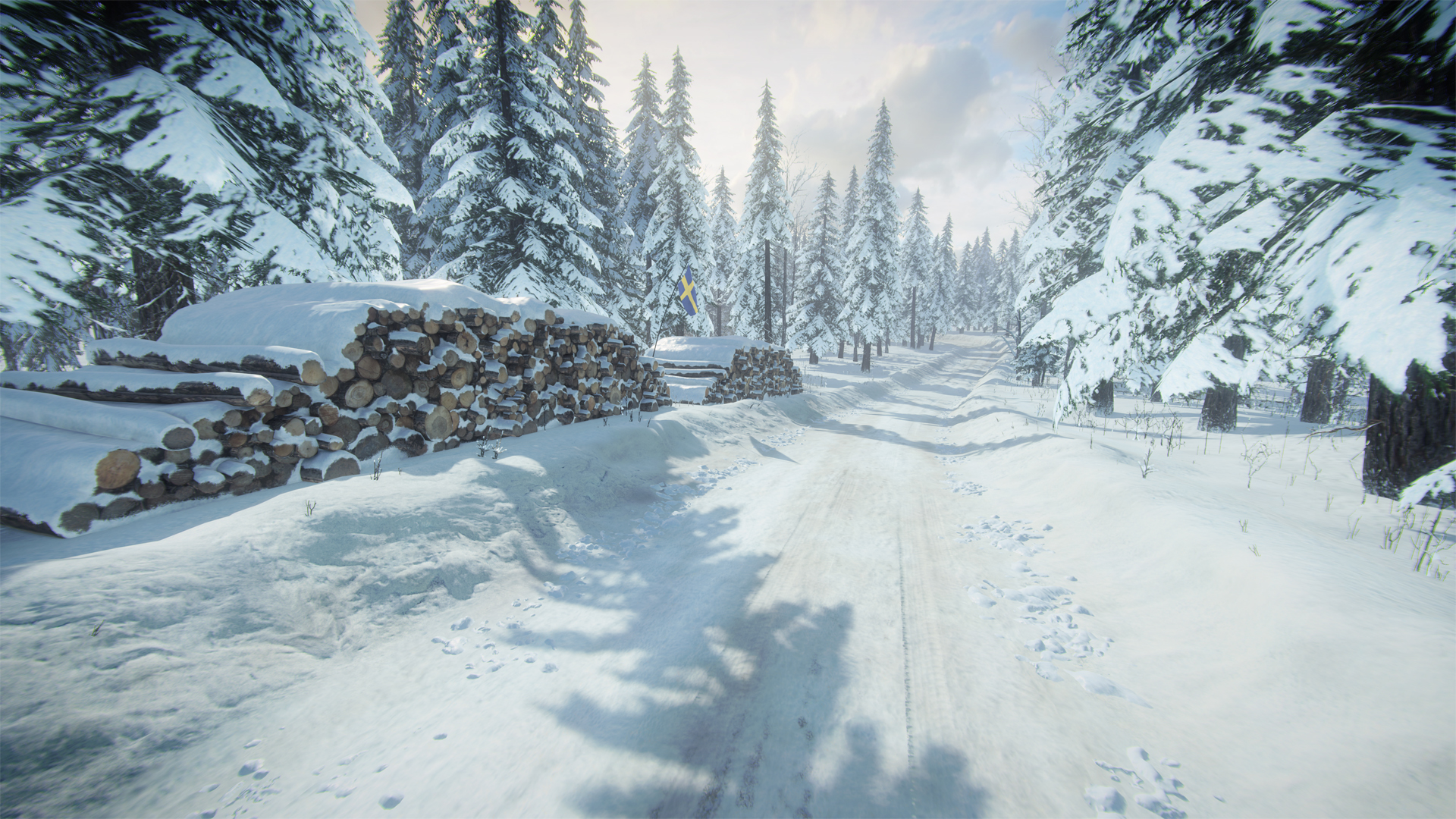 DiRT Rally 2.0 - Sweden (Rally Location) screenshot 2
