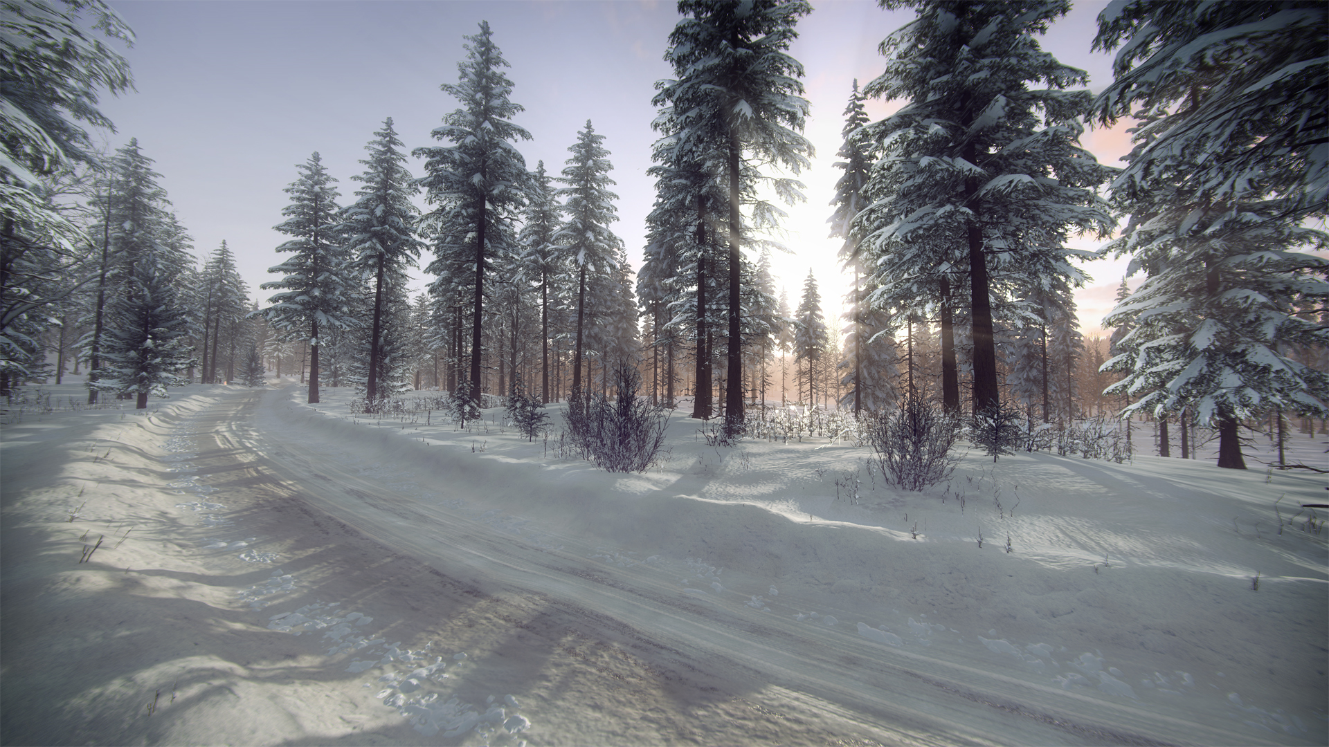 DiRT Rally 2.0 - Sweden (Rally Location) screenshot 4