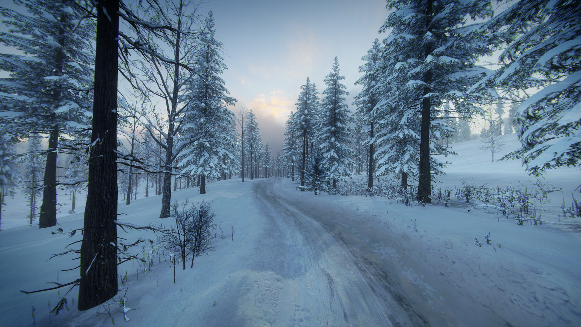 DiRT Rally 2.0 - Sweden (Rally Location) screenshot 8
