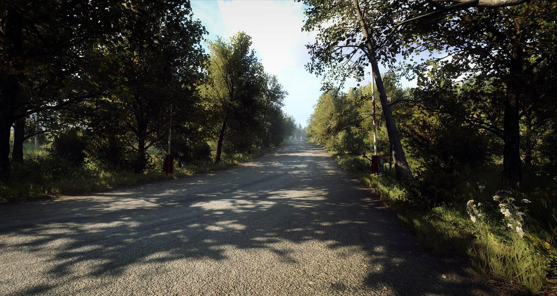 DiRT Rally 2.0 - Germany Rally screenshot 5