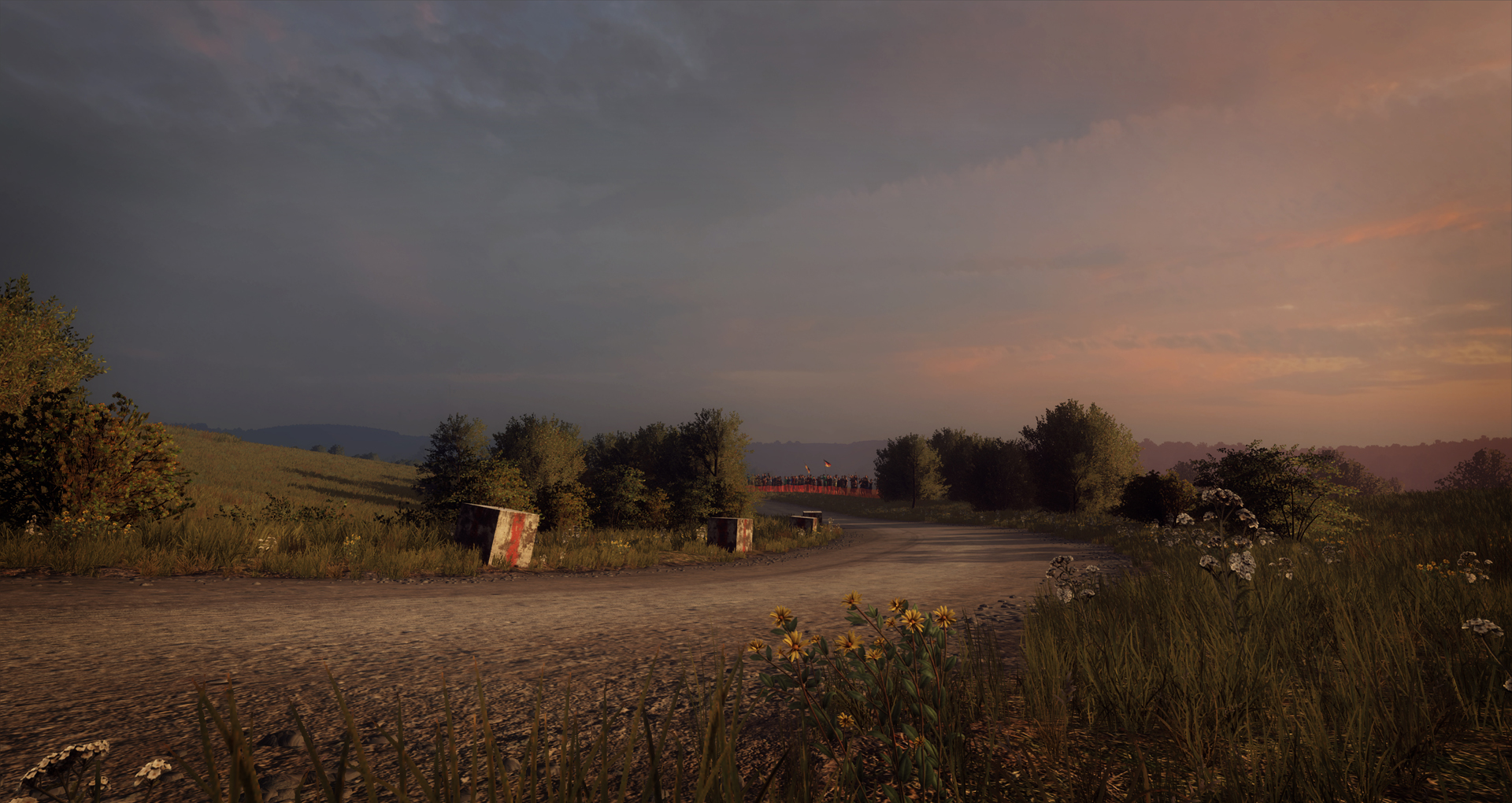 DiRT Rally 2.0 - Germany Rally screenshot 3