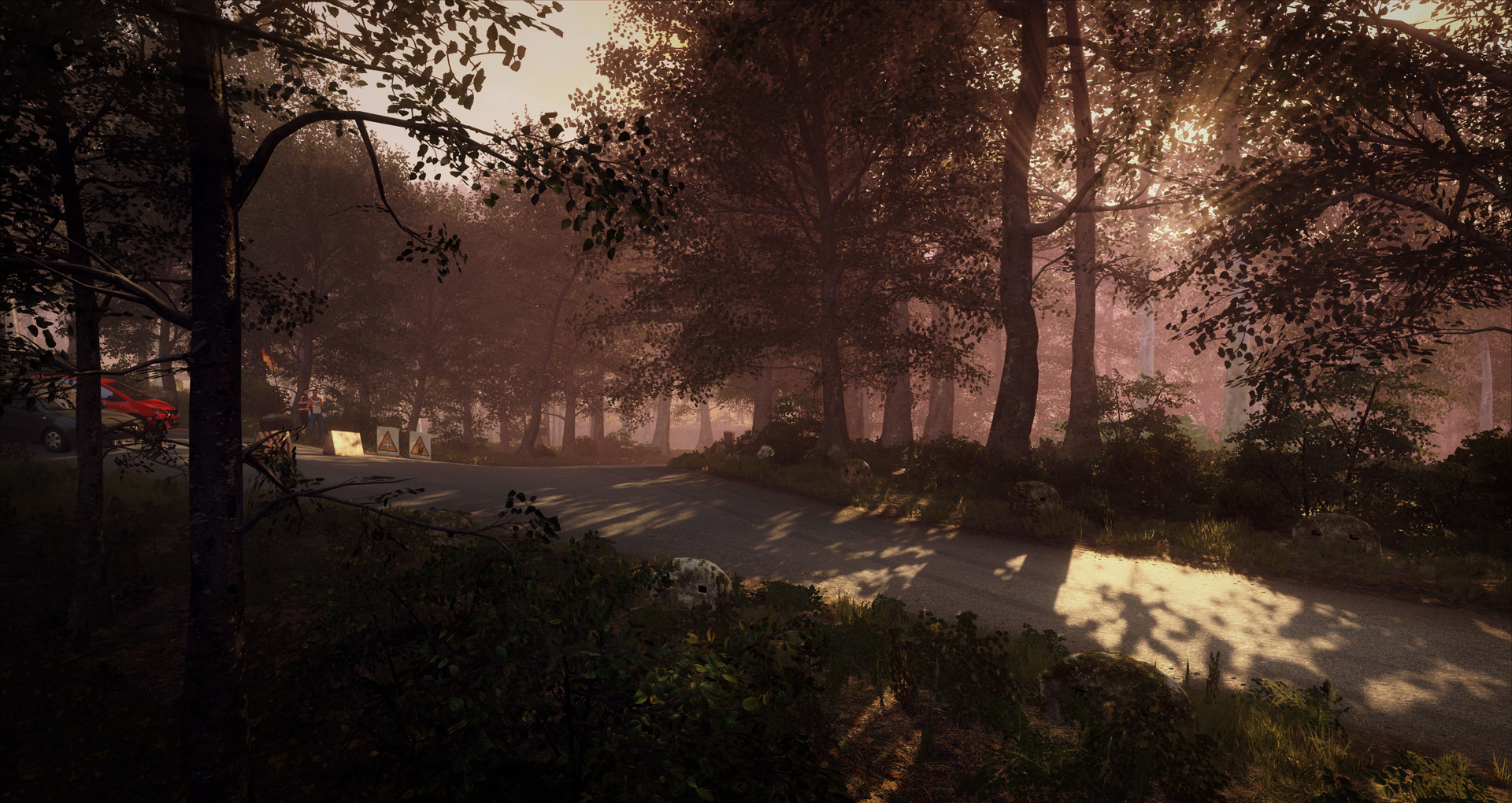 DiRT Rally 2.0 - Germany Rally screenshot 7