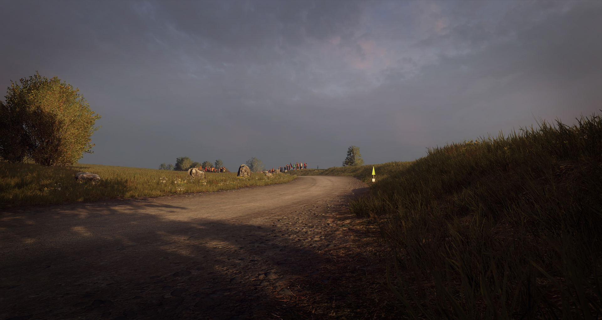 DiRT Rally 2.0 - Germany Rally screenshot 1
