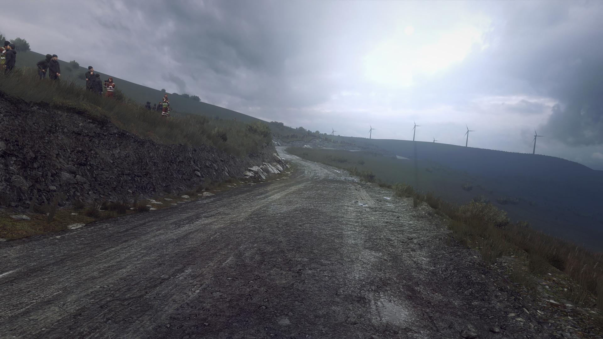 DiRT Rally 2.0 - Wales (Rally Location) screenshot 2
