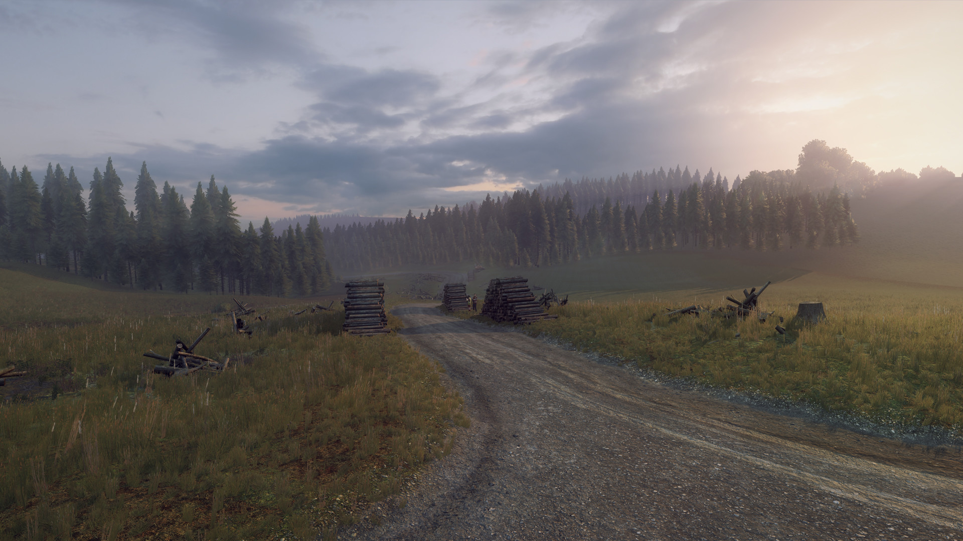 DiRT Rally 2.0 - Wales (Rally Location) screenshot 5