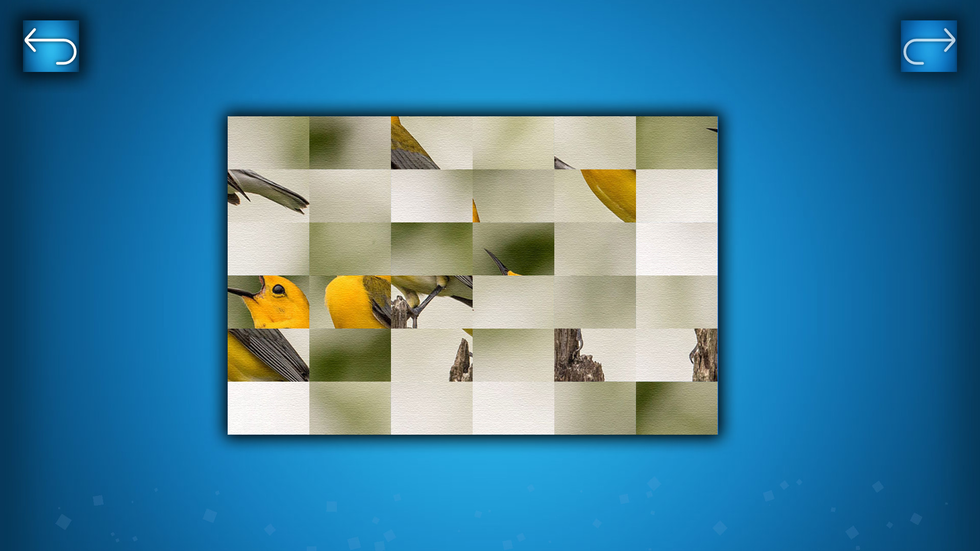 PUZZLE: BIRDS screenshot 5